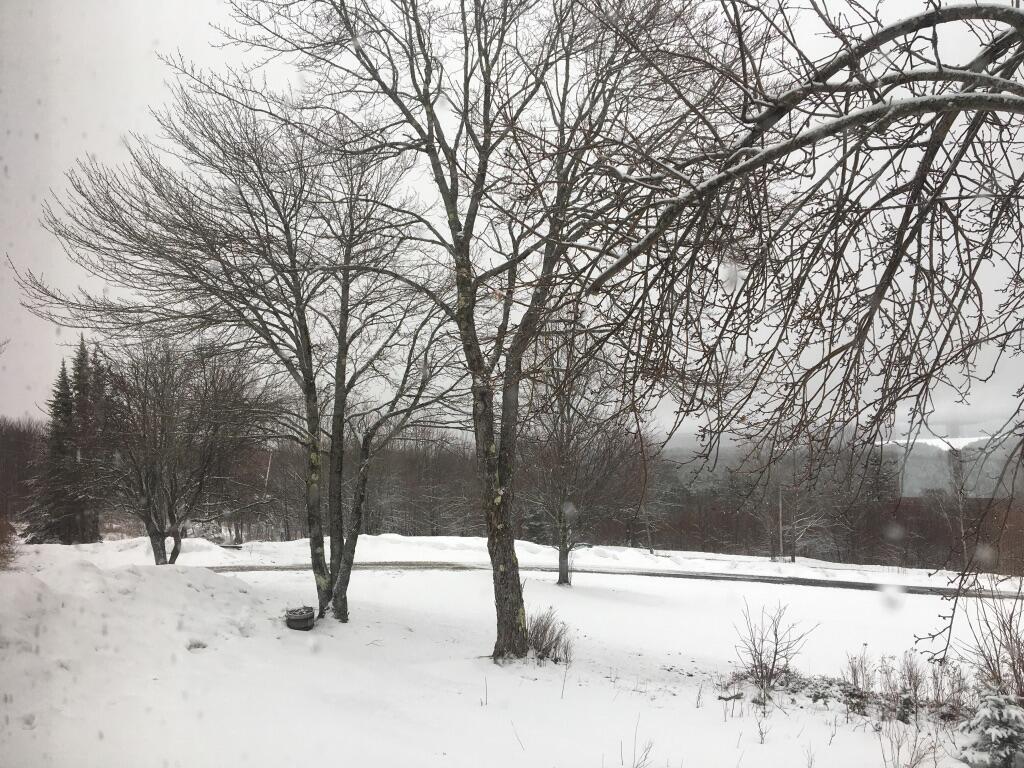 124 Gray Road Sangerville ME 04479