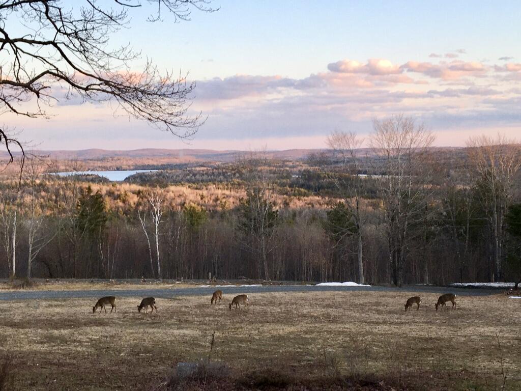 124 Gray Road Sangerville ME 04479