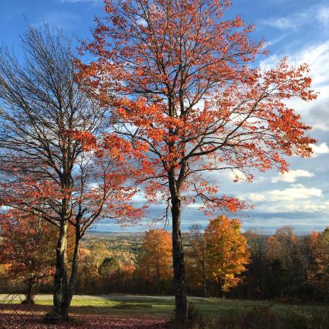 124 Gray Road Sangerville ME 04479