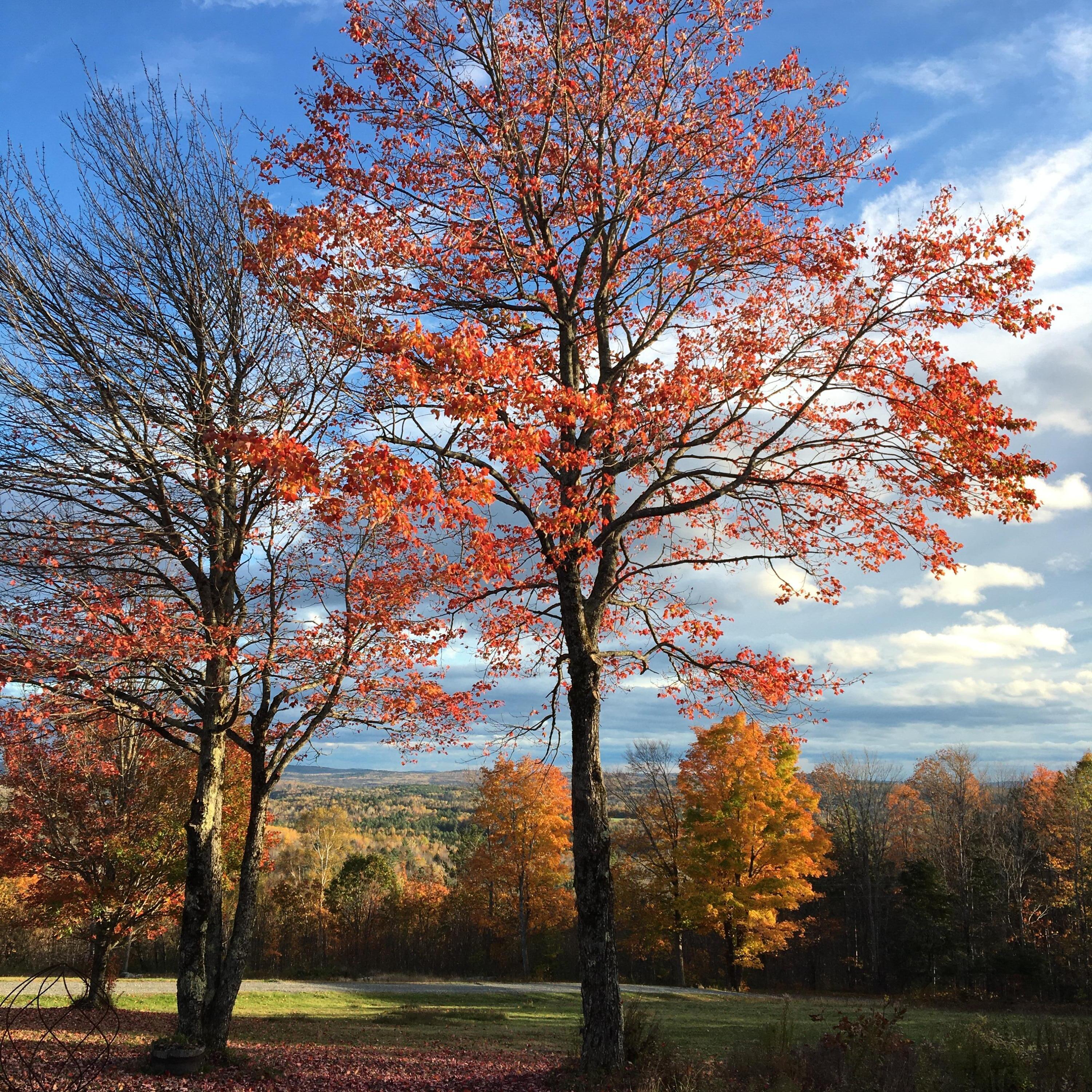 124 Gray Road Sangerville ME 04479