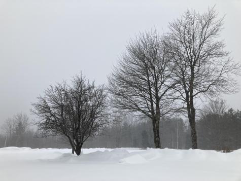 124 Gray Road Sangerville ME 04479