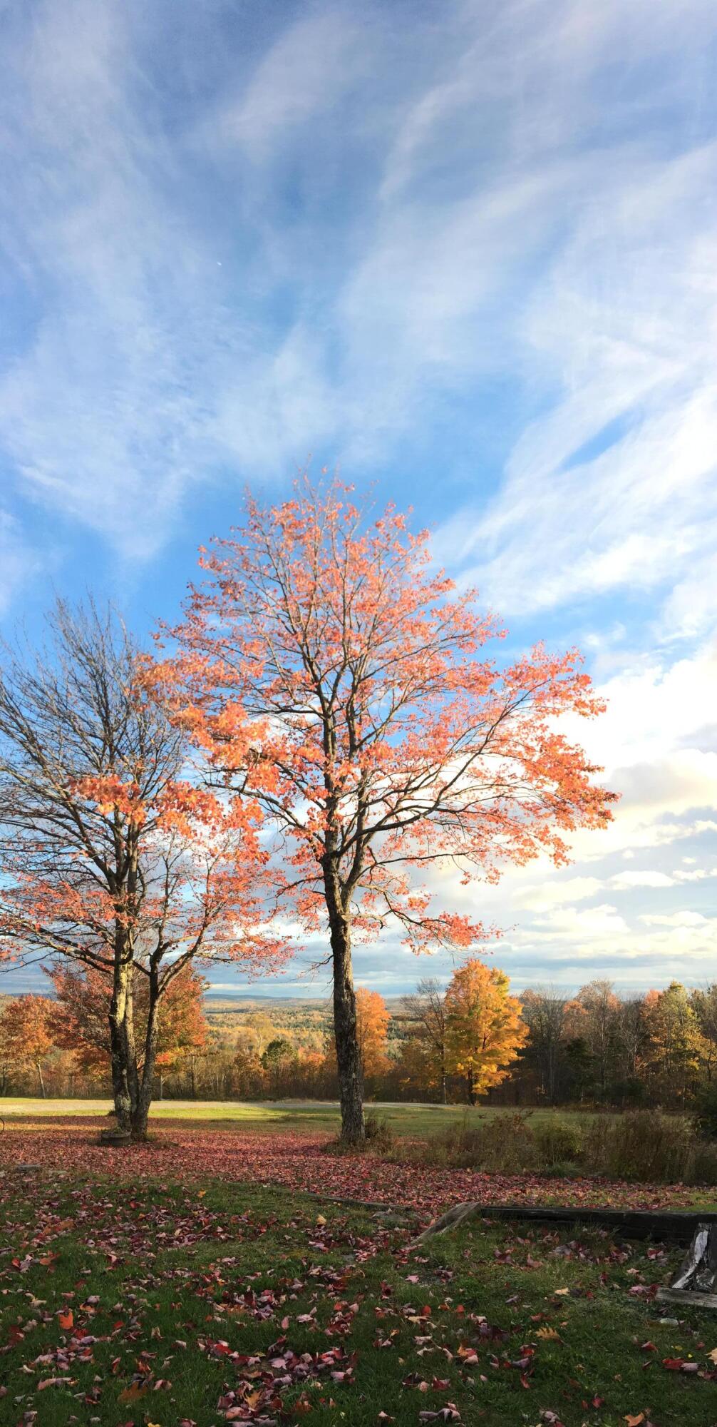 124 Gray Road Sangerville ME 04479