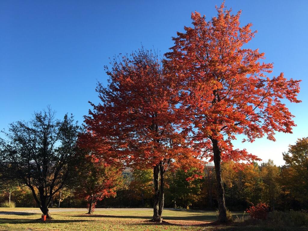 124 Gray Road Sangerville ME 04479