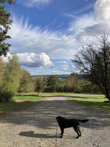 124 Gray Road Sangerville ME 04479