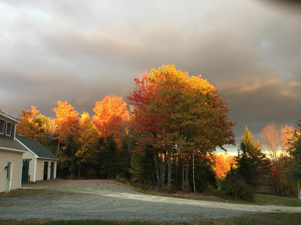 124 Gray Road Sangerville ME 04479