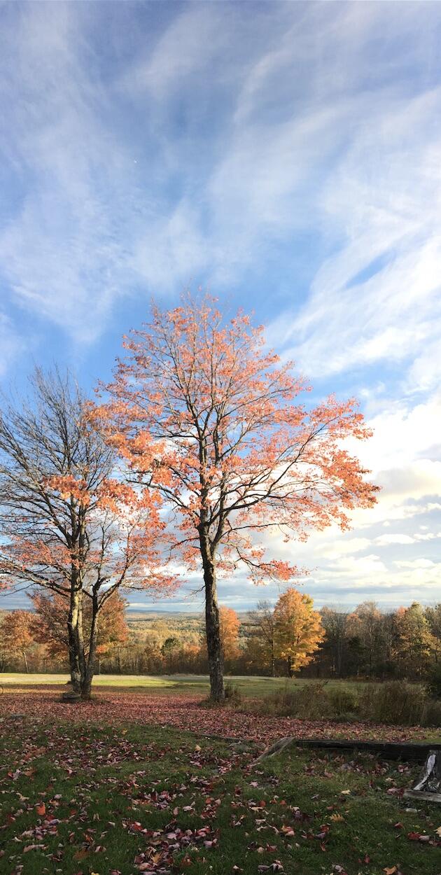 124 Gray Road Sangerville ME 04479