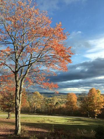 124 Gray Road Sangerville ME 04479