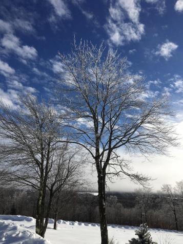 124 Gray Road Sangerville ME 04479