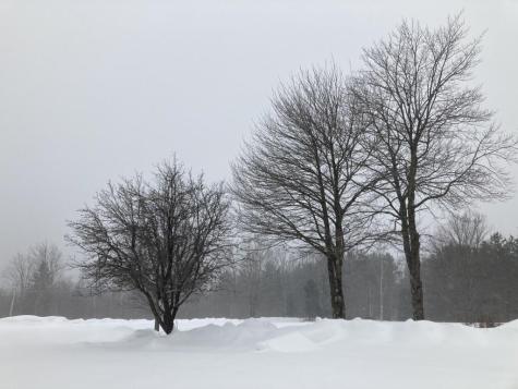 124 Gray Road Sangerville ME 04479