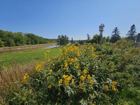 393 Us-1 Dennysville ME 04628