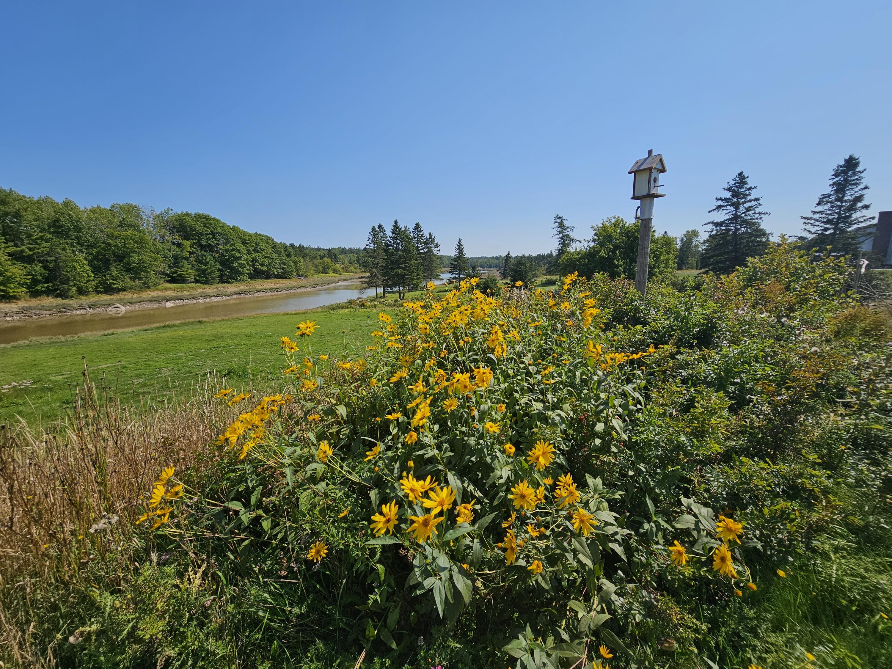 393 Us-1 Dennysville ME 04628