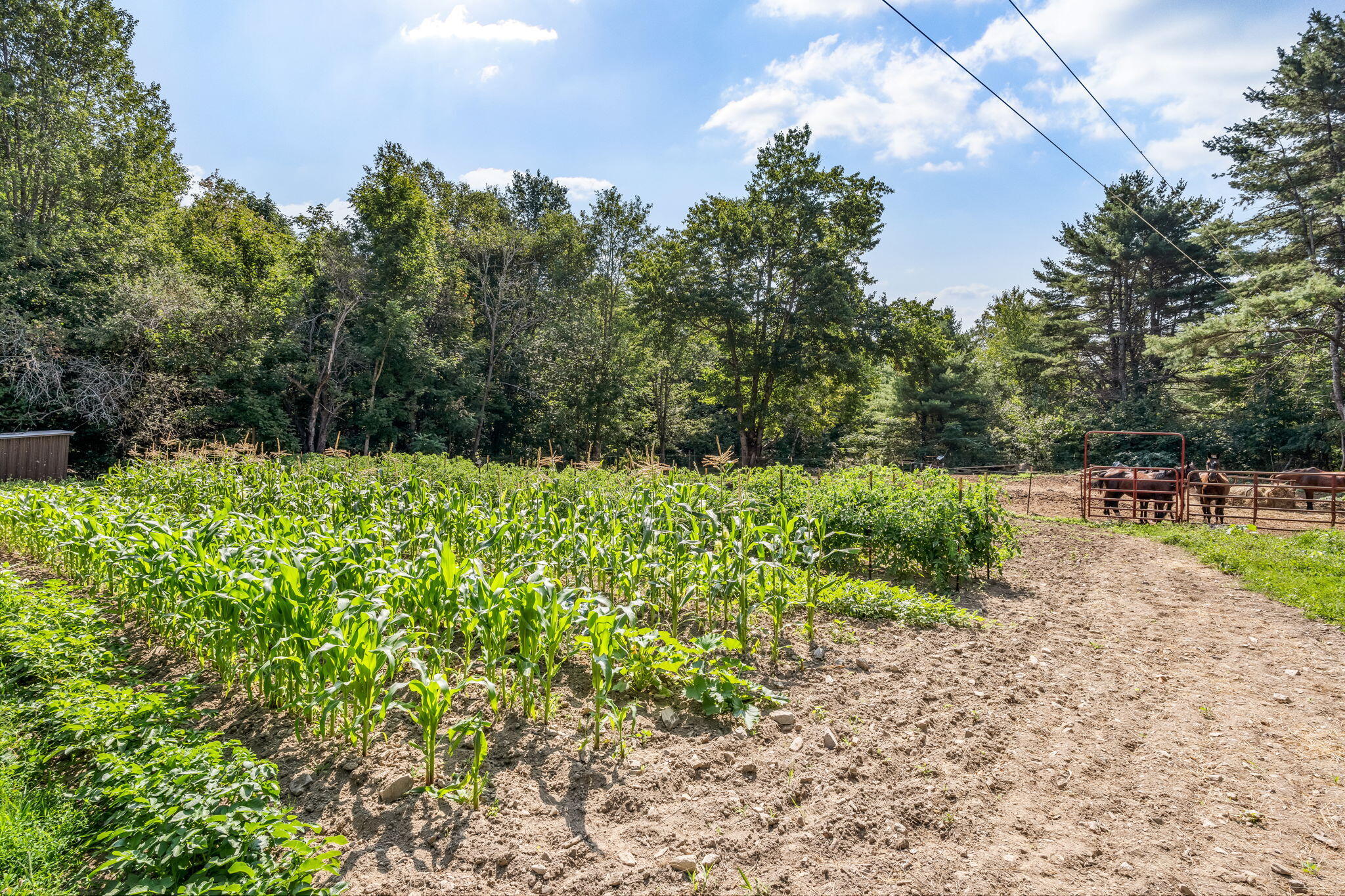22 Rockland Road Jefferson ME 04348