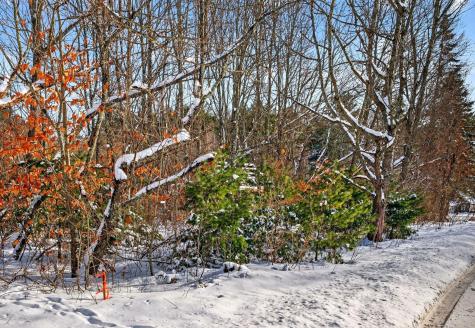 61 Woodside Road Brunswick ME 04011