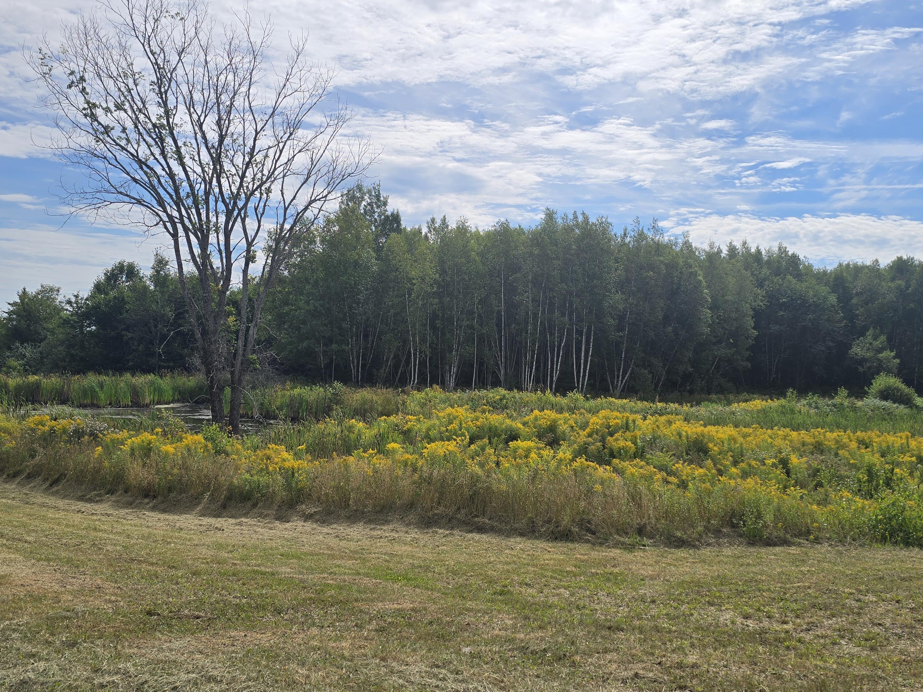 96 W Ridge Road Littleton ME 04730