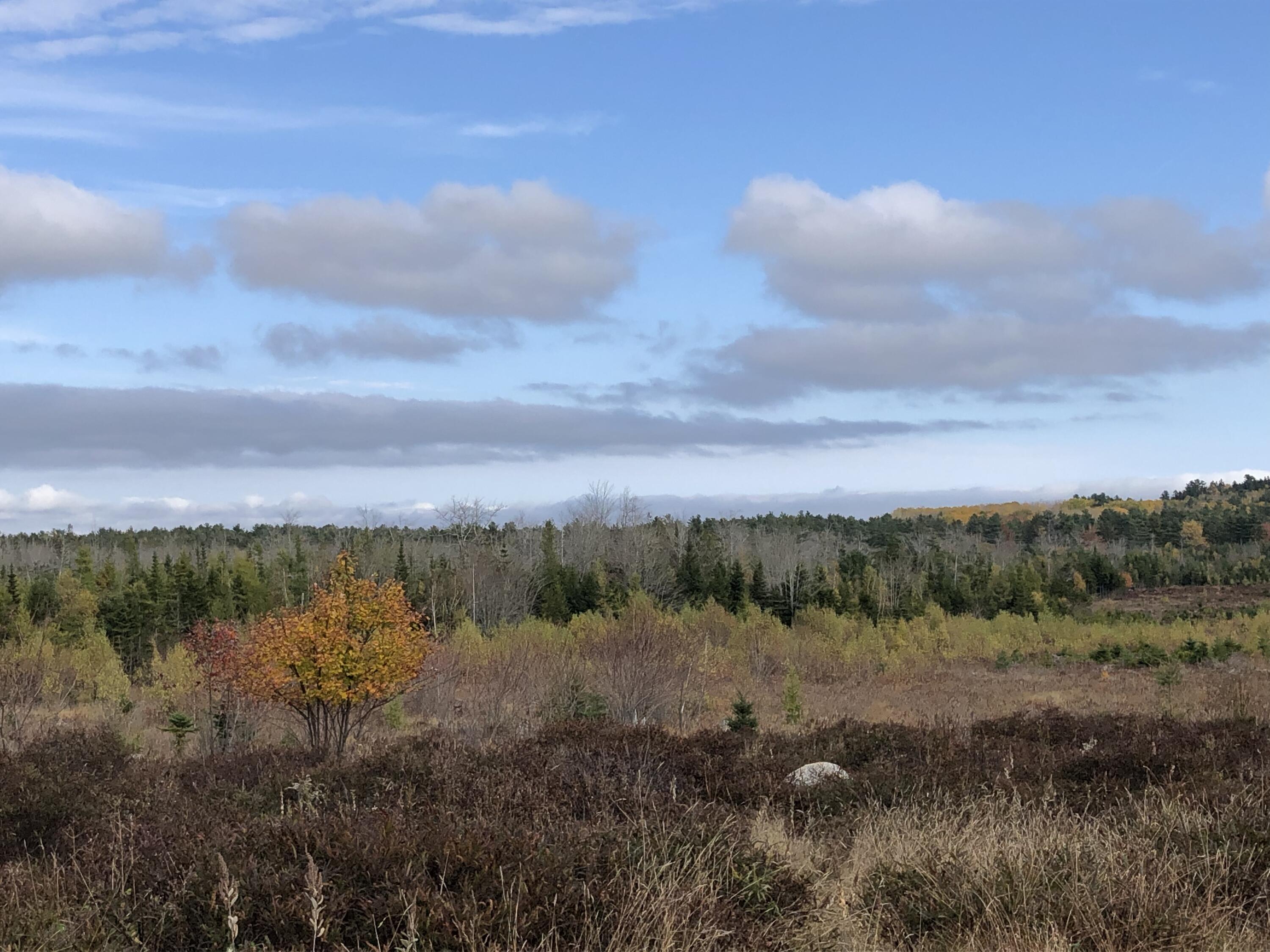 1170 Shore Road Lamoine ME 04605