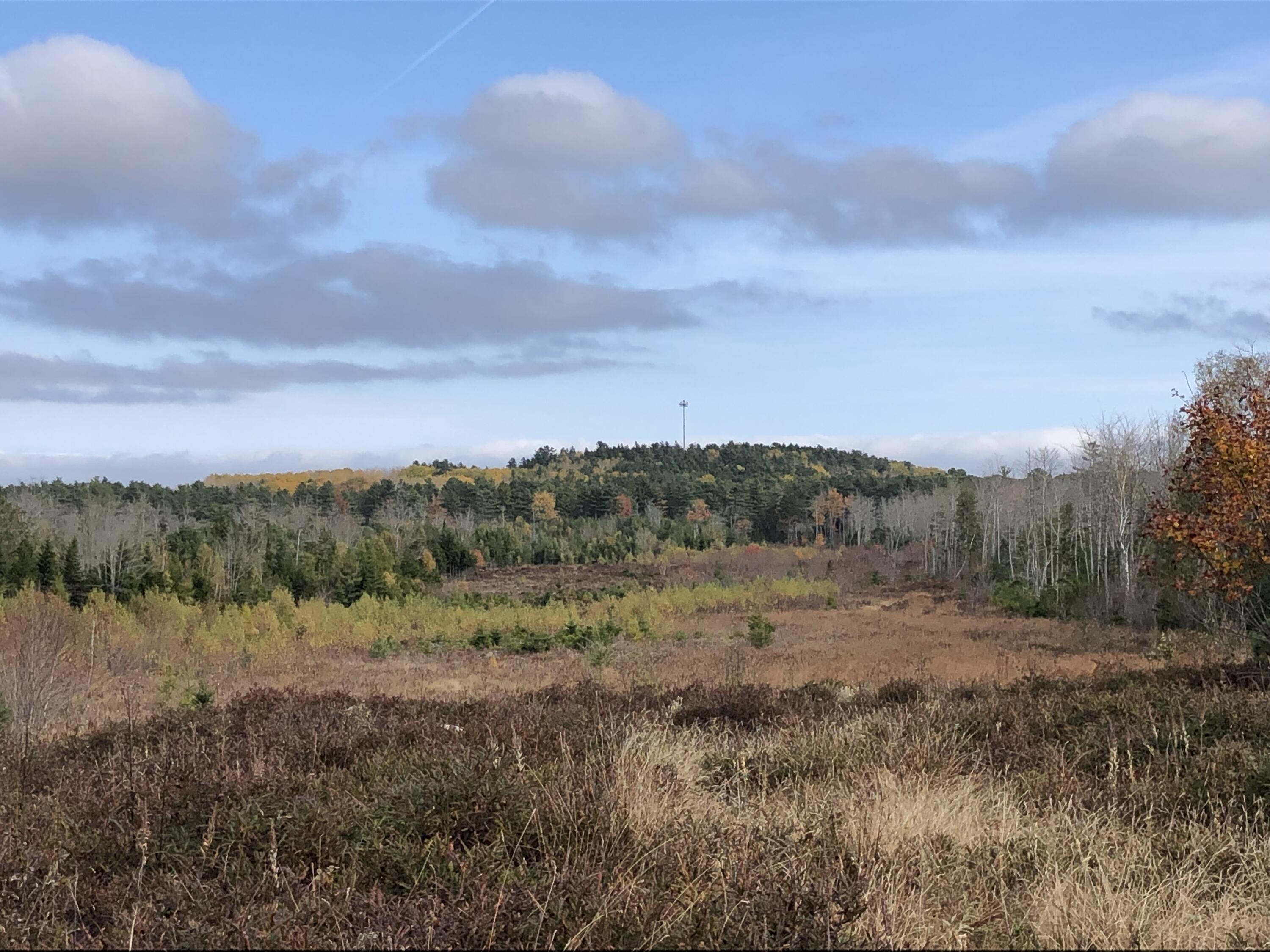 1170 Shore Road Lamoine ME 04605