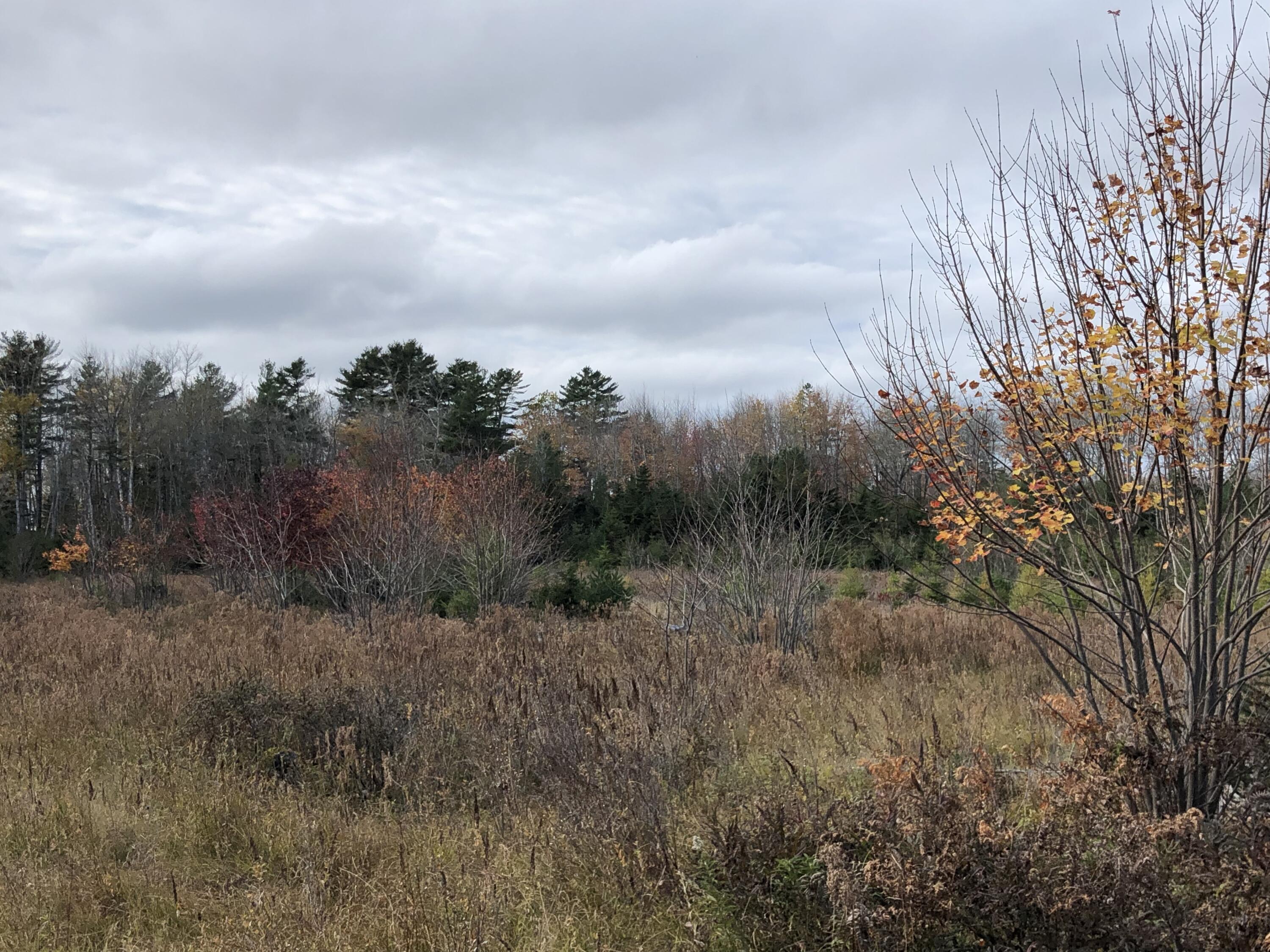 1170 Shore Road Lamoine ME 04605