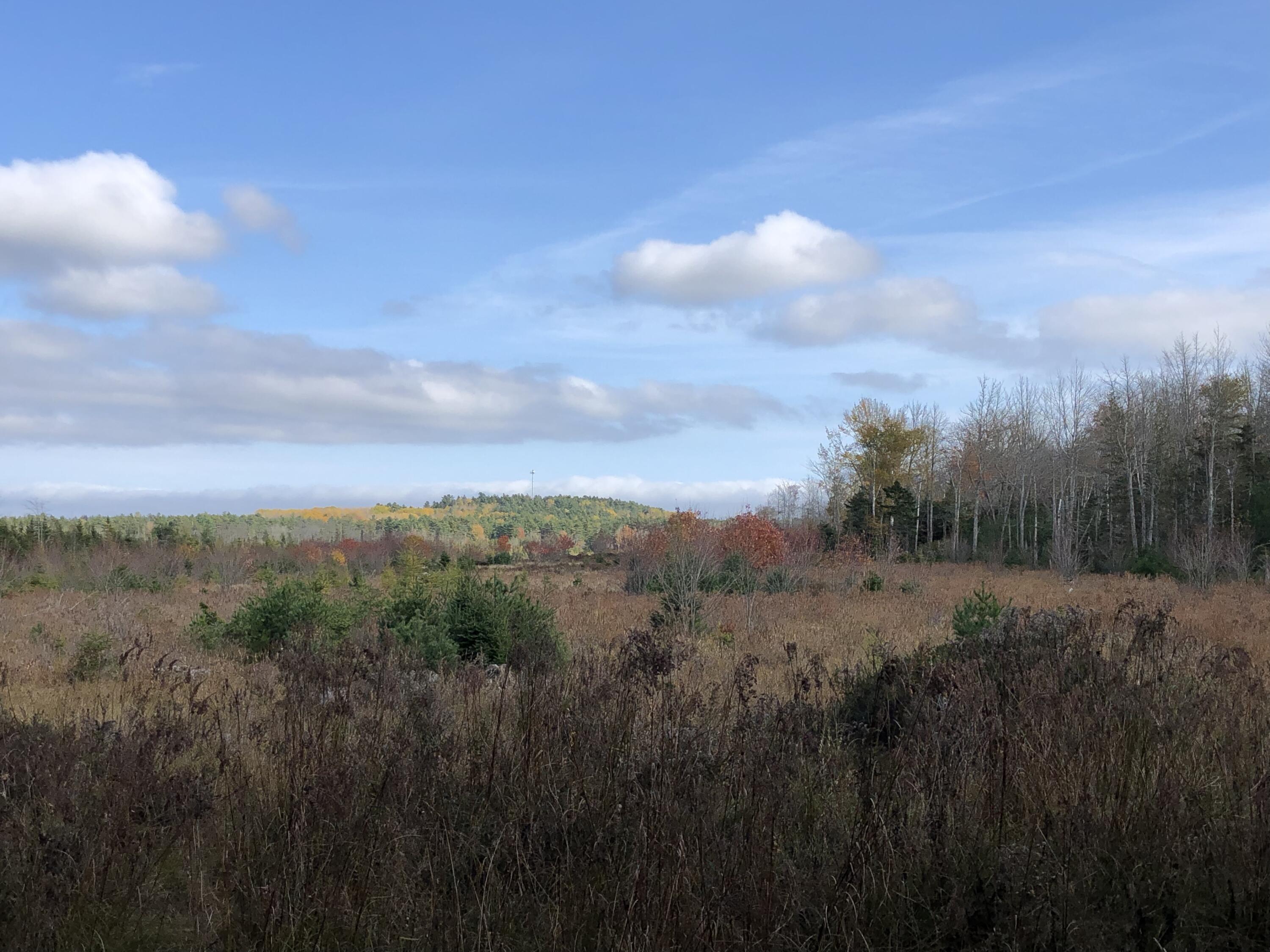 1170 Shore Road Lamoine ME 04605