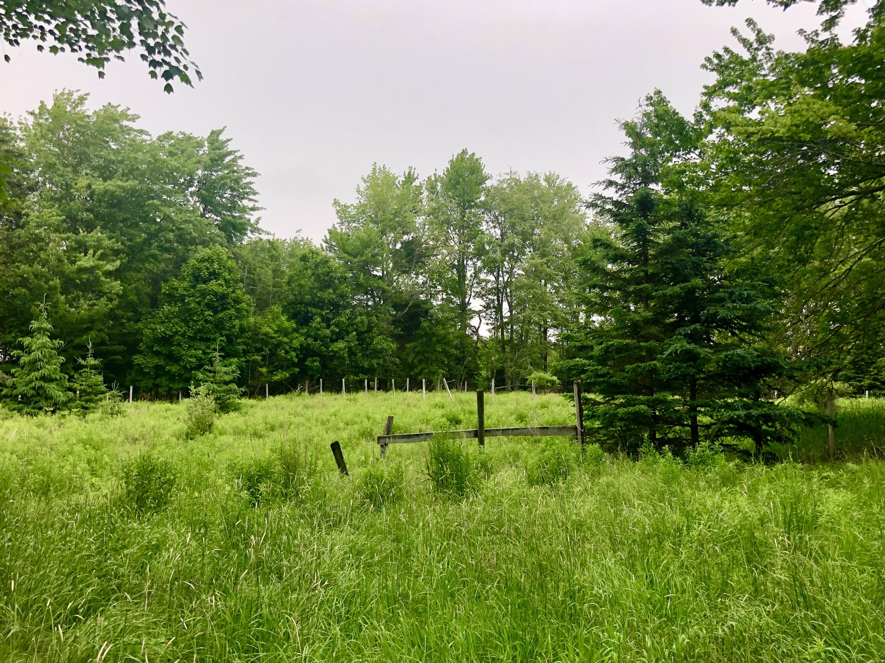 1170 Shore Road Lamoine ME 04605