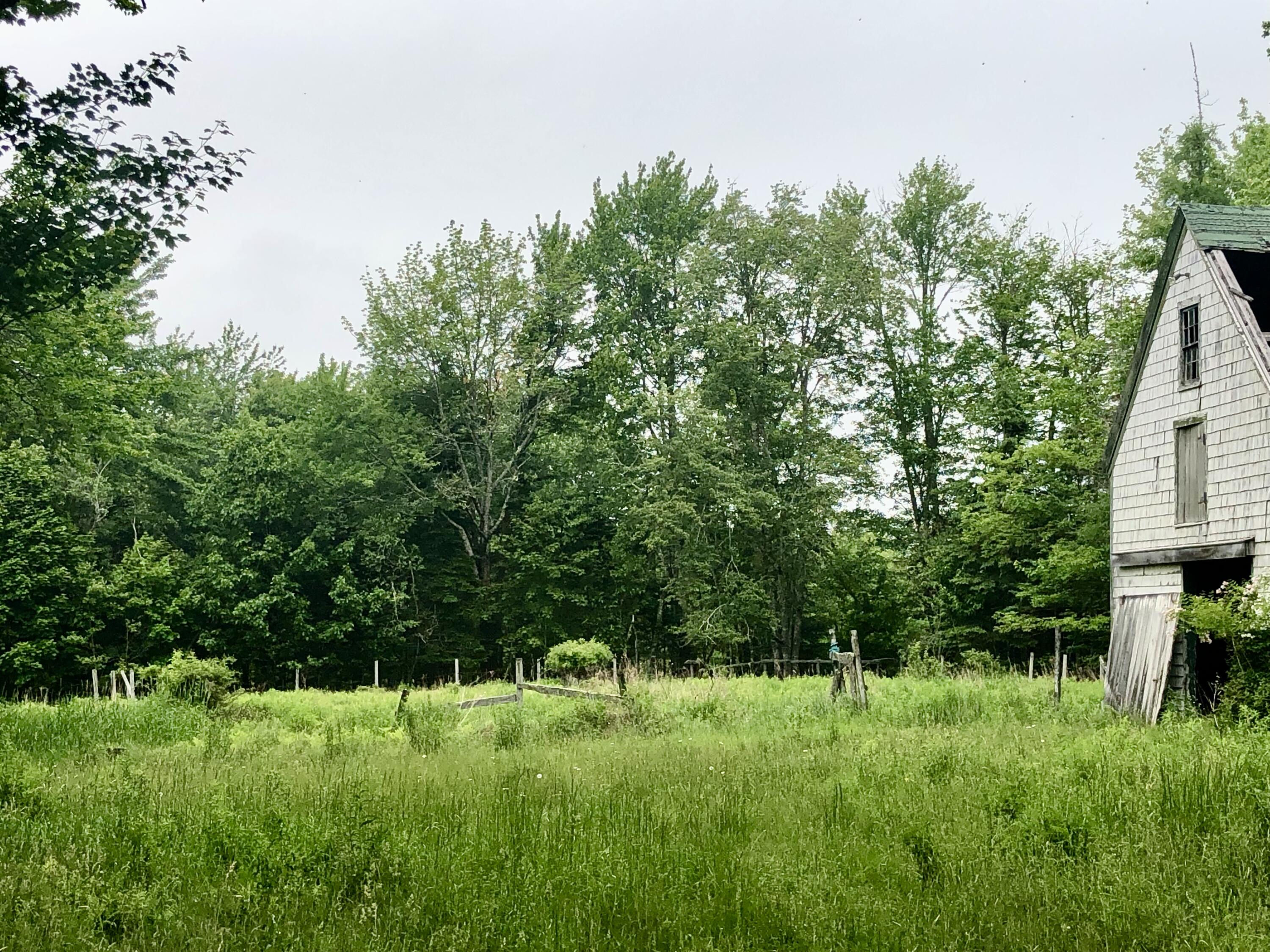 1170 Shore Road Lamoine ME 04605