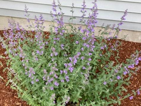 74 Town Farm Road Hampden ME 04444