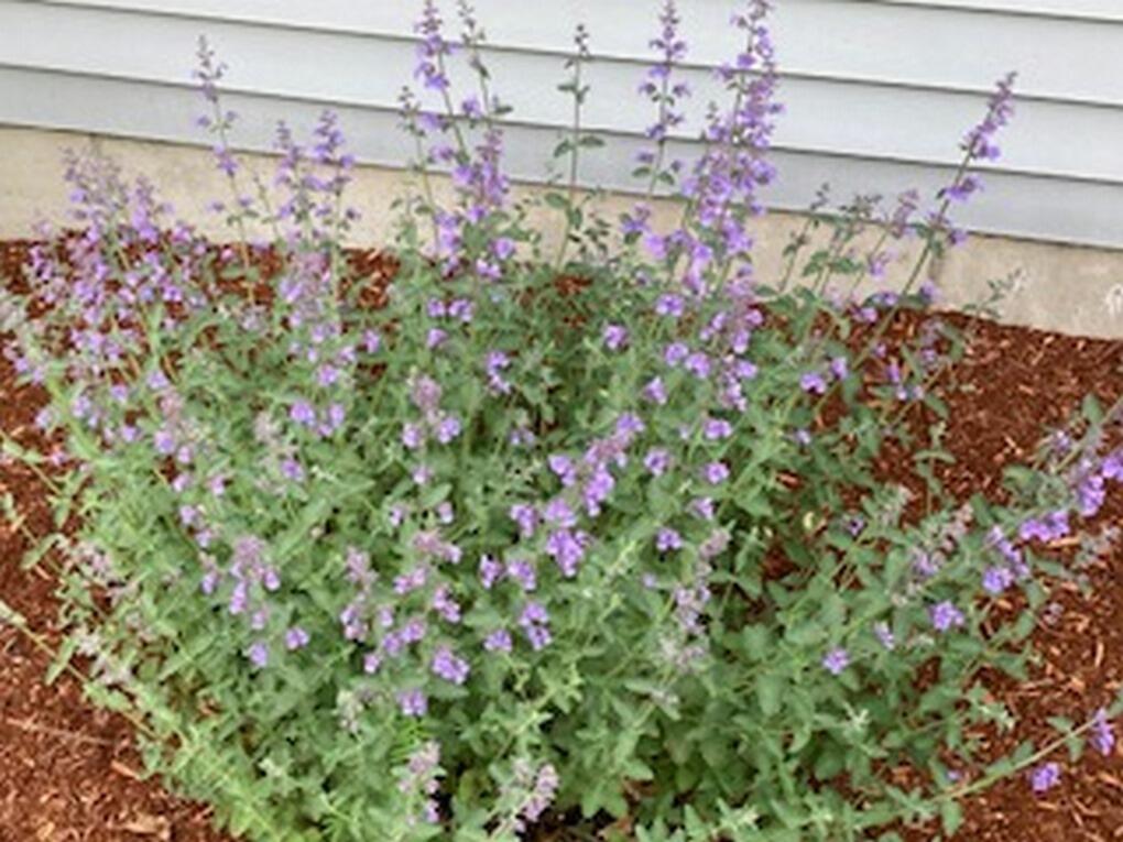 74 Town Farm Road Hampden ME 04444