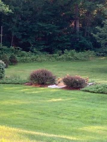 74 Town Farm Road Hampden ME 04444