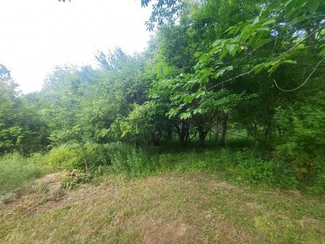 132 Lake Avenue Farmington ME 04938