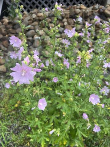 811 Bog Road New Portland ME 04961