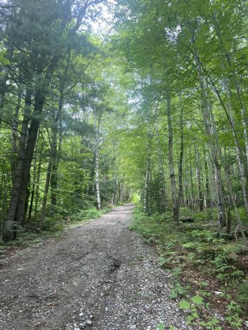 811 Bog Road New Portland ME 04961