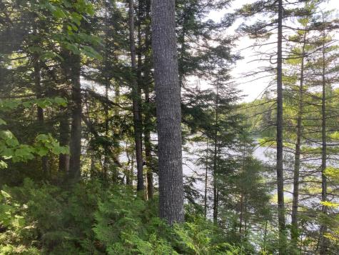 280 Greenwood Pond Road Elliottsville Twp ME 04464