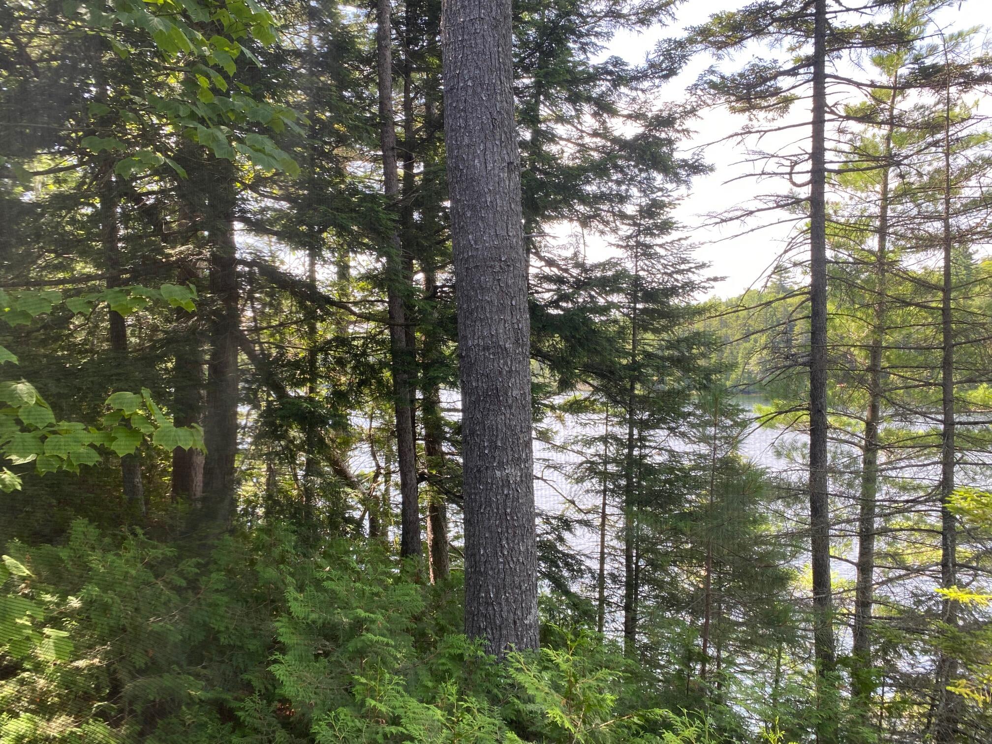 280 Greenwood Pond Road Elliottsville Twp ME 04464