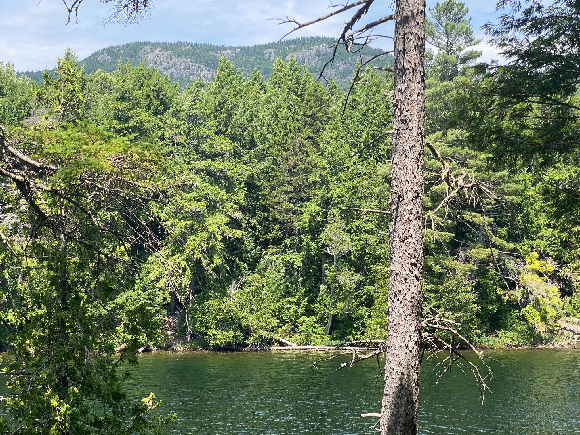 280 Greenwood Pond Road Elliottsville Twp ME 04464