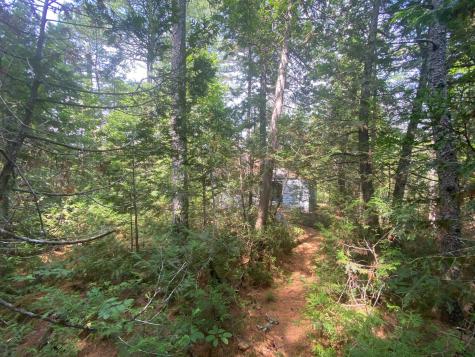 280 Greenwood Pond Road Elliottsville Twp ME 04464