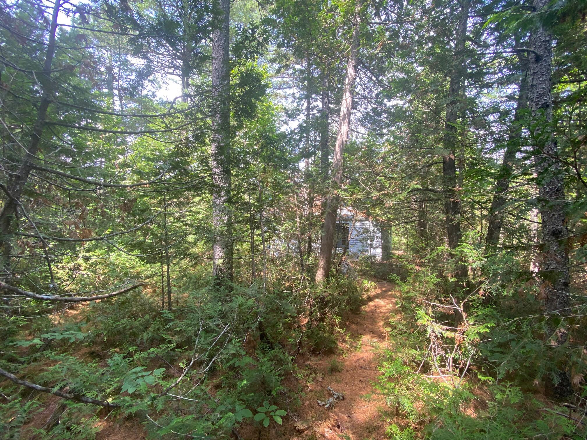 280 Greenwood Pond Road Elliottsville Twp ME 04464