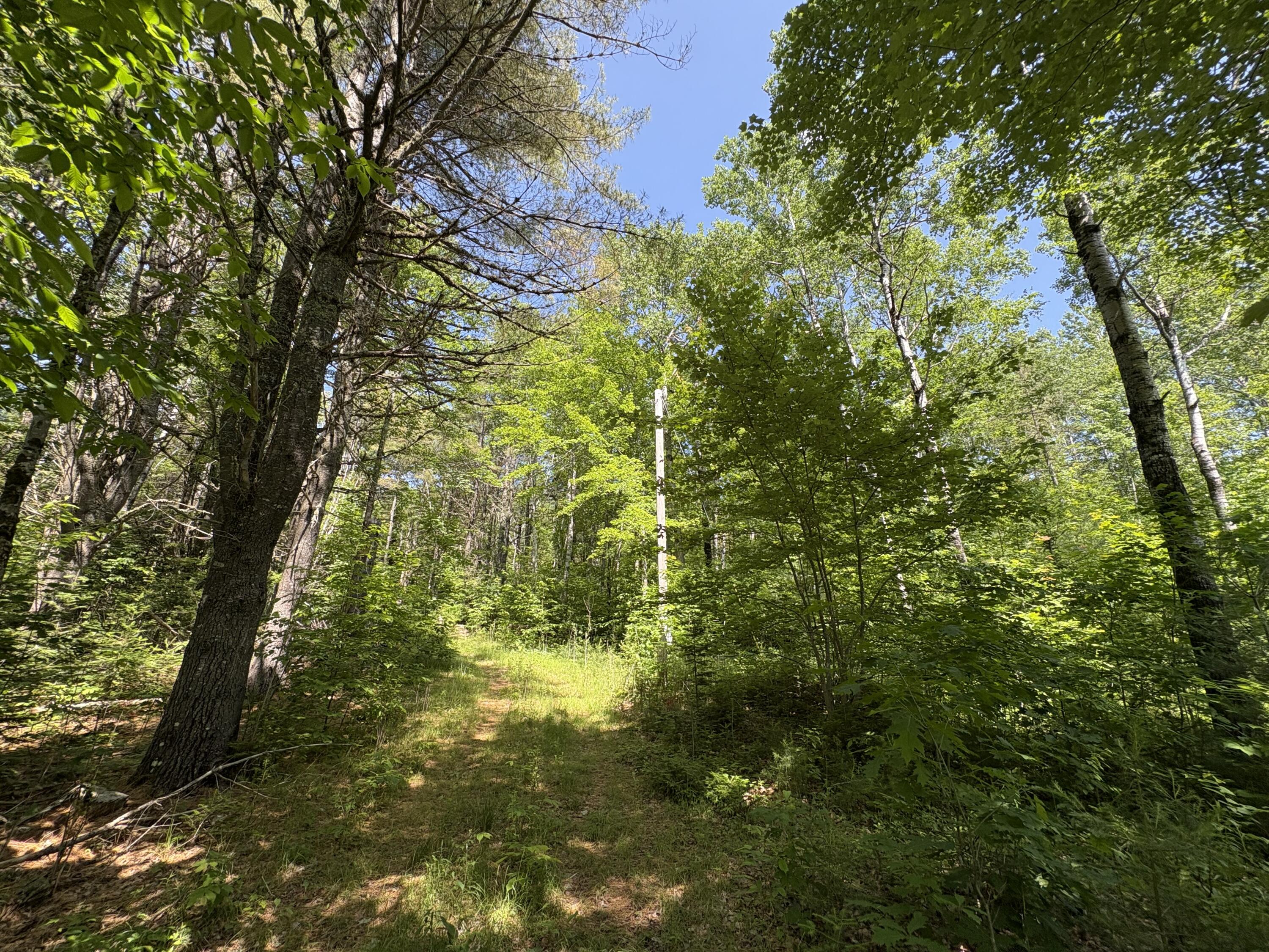 Off Andrews Road Drew Plt ME 04497