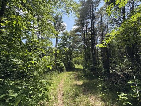 Off Andrews Road Drew Plt ME 04497