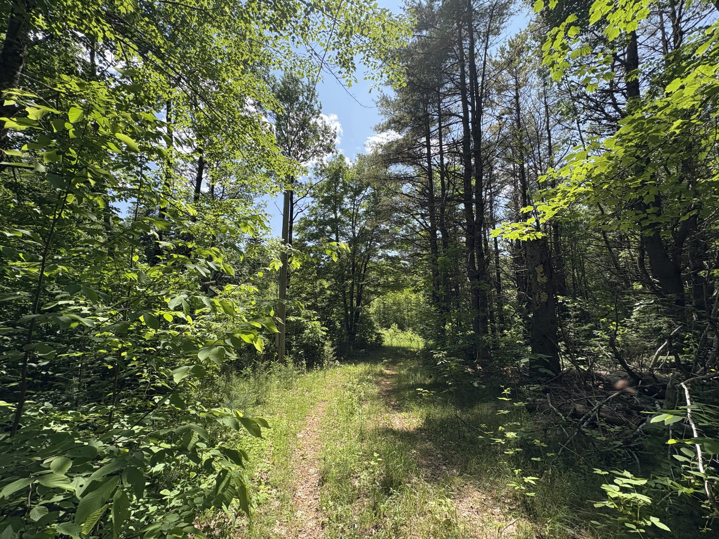 Off Andrews Road Drew Plt ME 04497