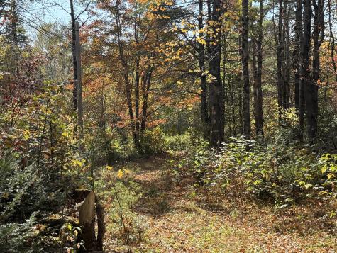 Off Andrews Road Drew Plt ME 04497