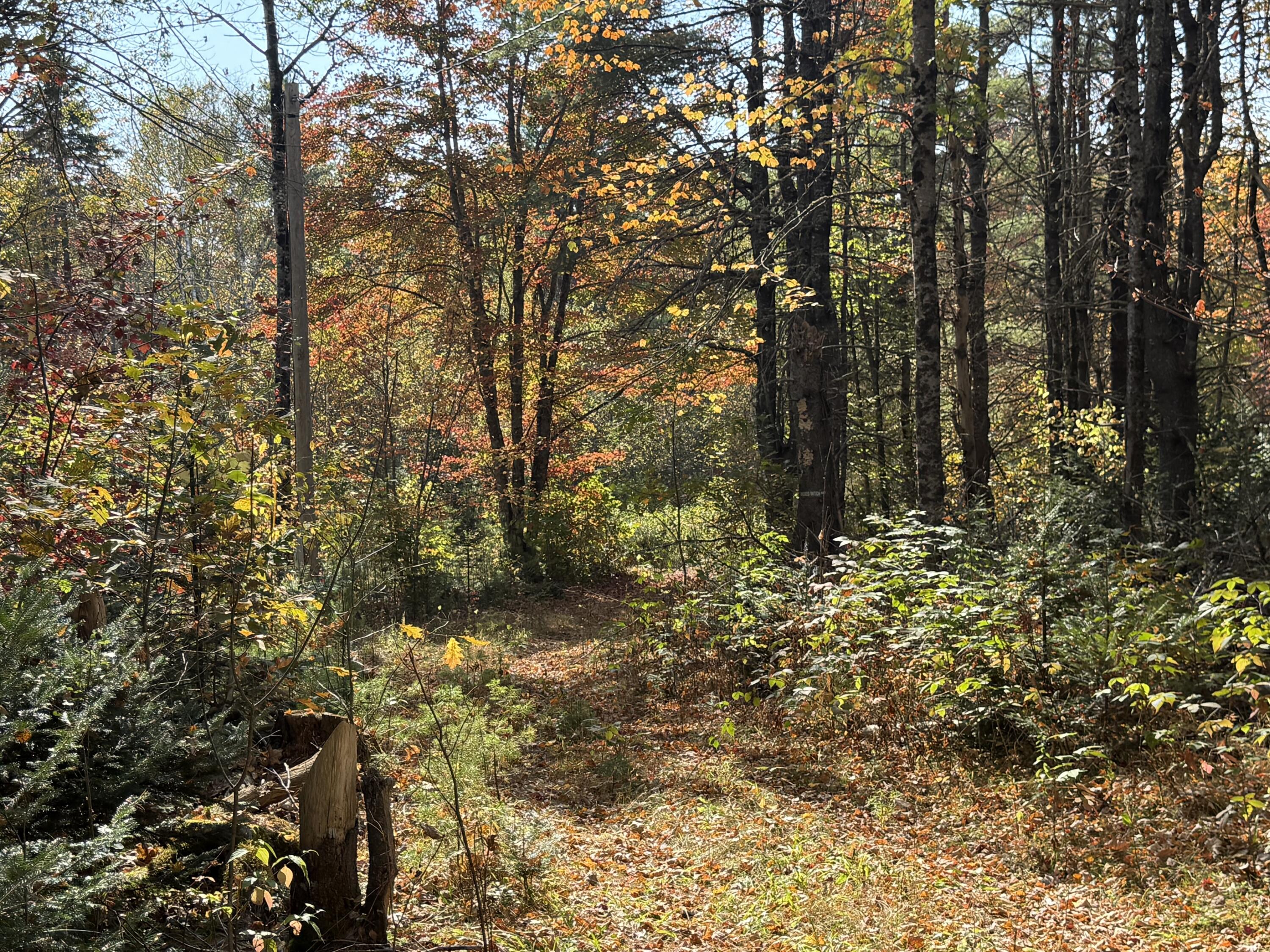 Off Andrews Road Drew Plt ME 04497