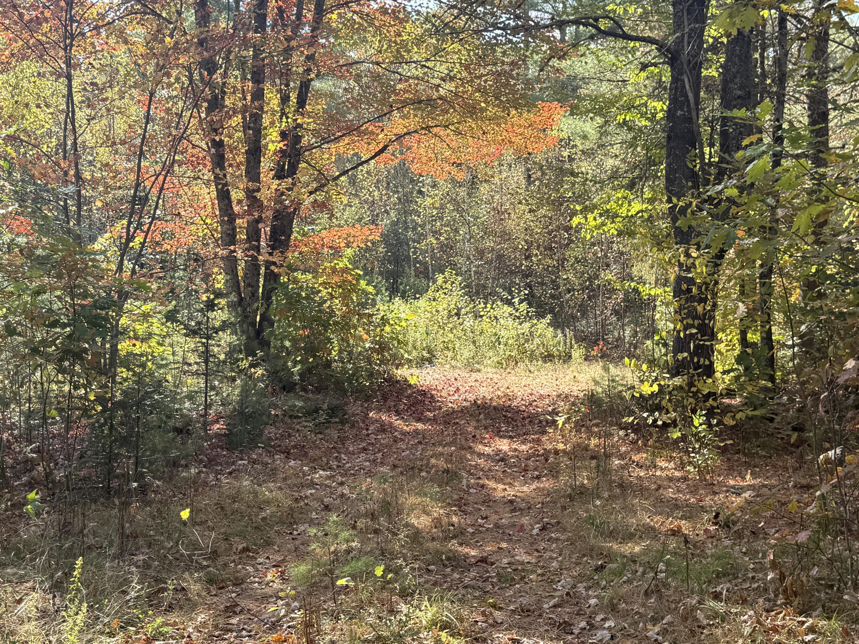 Off Andrews Road Drew Plt ME 04497