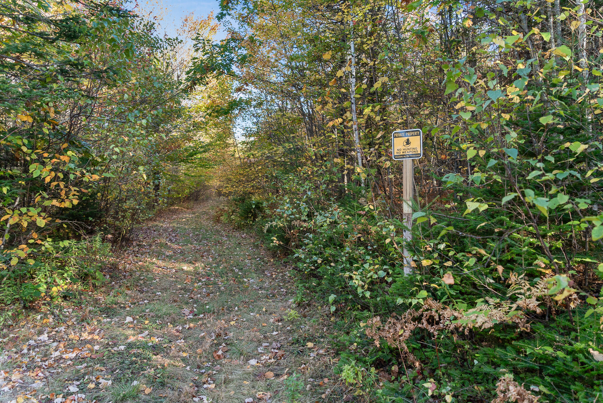 219 Outlook Road Woodstock ME 04219