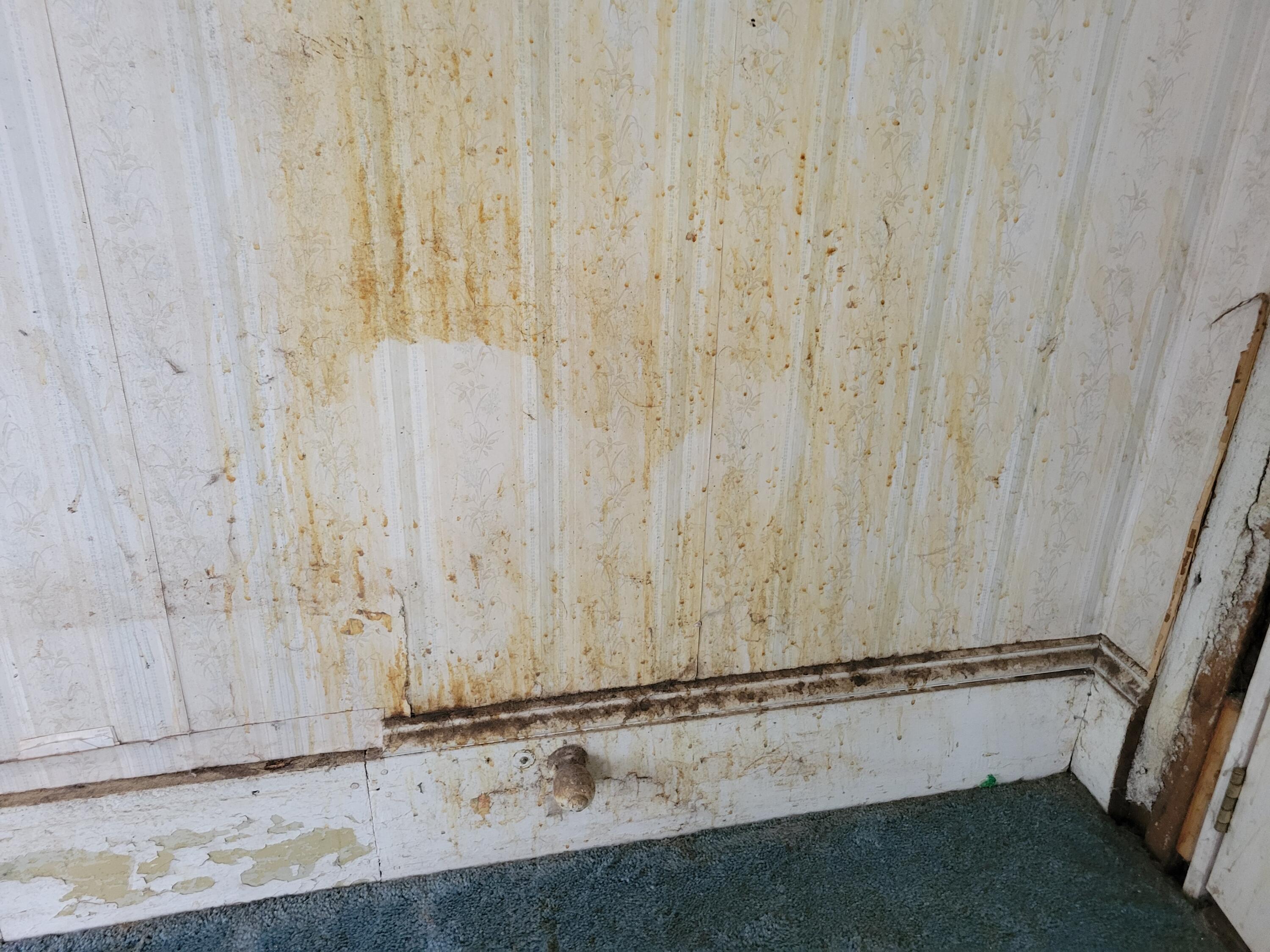 538 Poland Road Auburn ME 04210