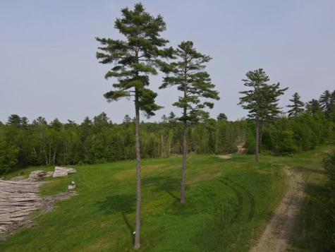 Lot 7 Th Mount Jefferson Heights Lee ME 04455