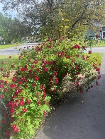 12 Orchard Street Scarborough ME 04074