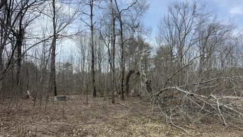 6 Coyote Alley Belgrade ME 04917