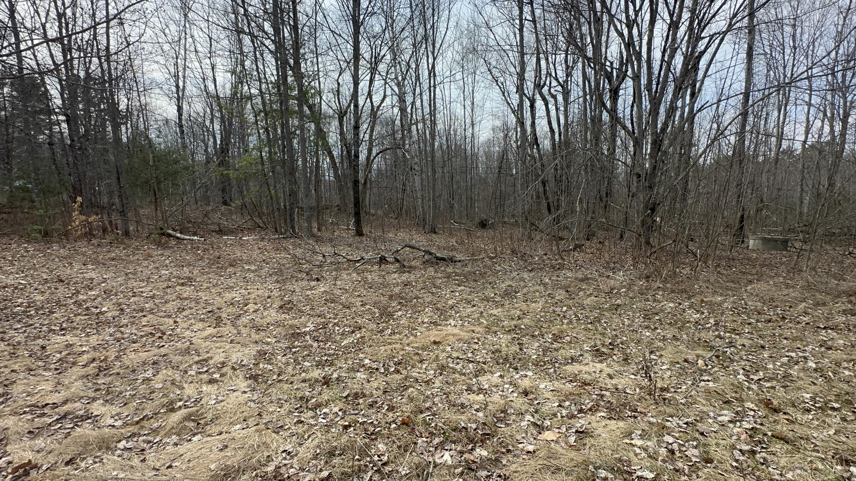 6 Coyote Alley Belgrade ME 04917