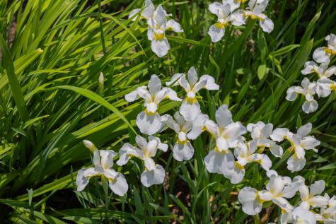 189 Middle Street Farmington ME 04938