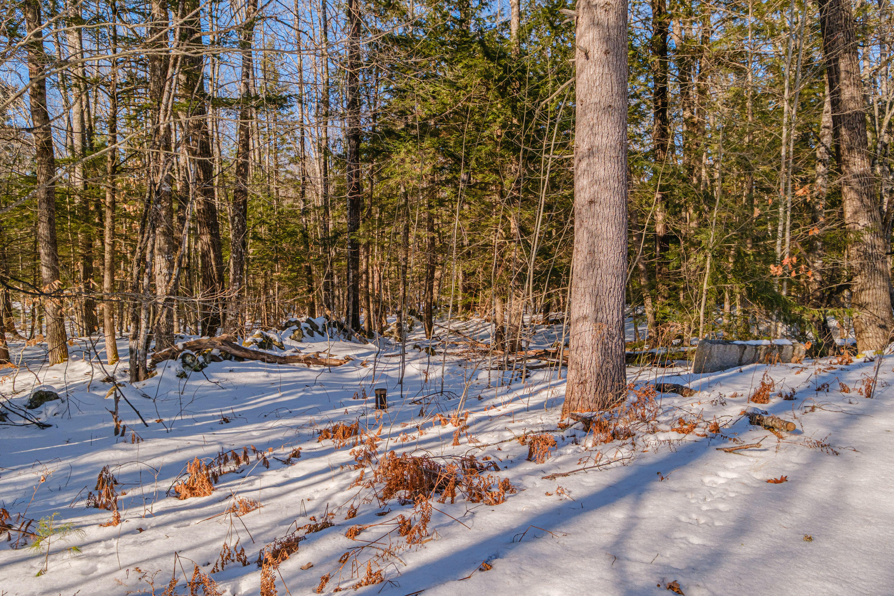 418 E Main Street Denmark ME 04022