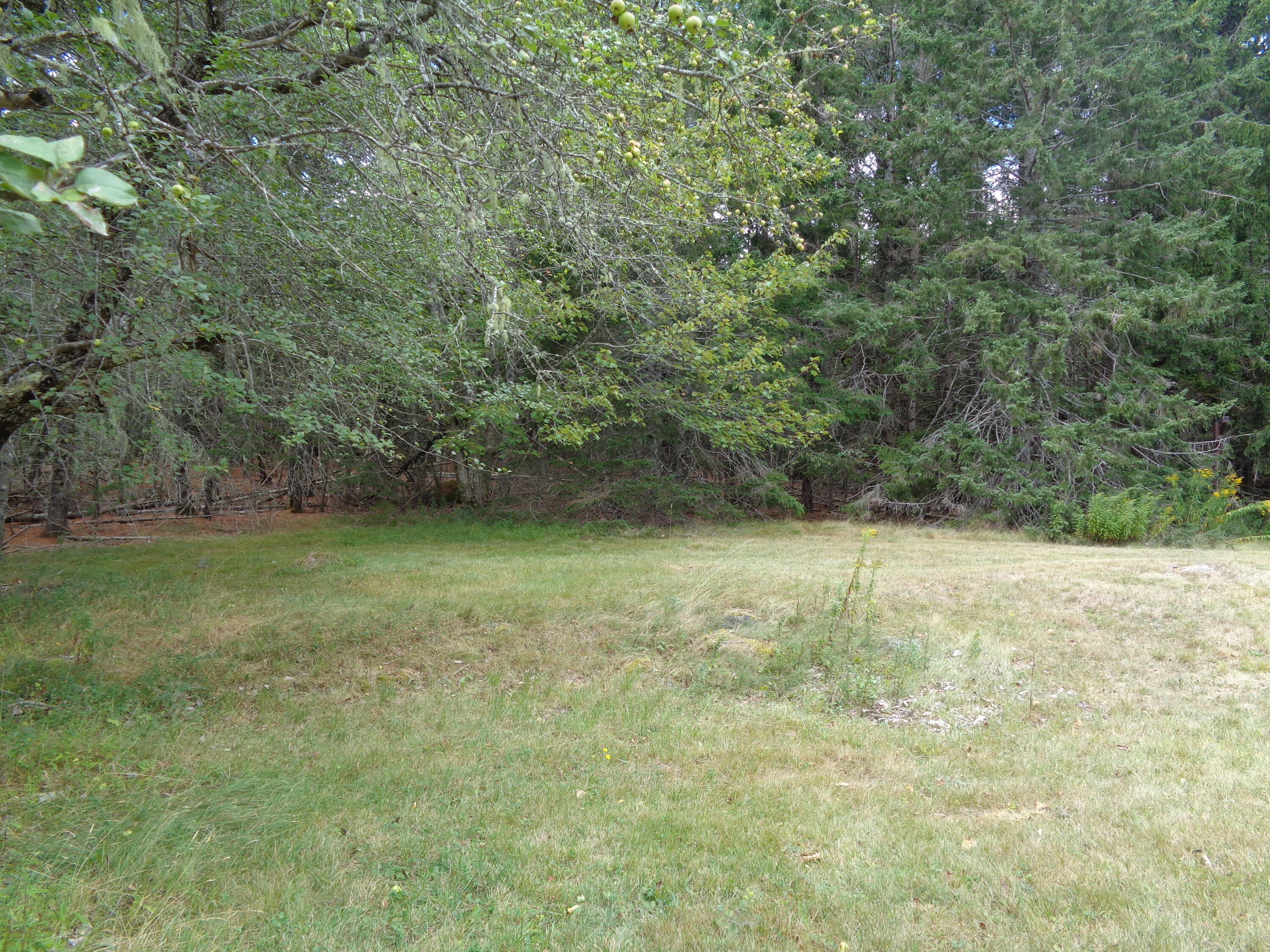 834 W West Bay Road Gouldsboro ME 04607